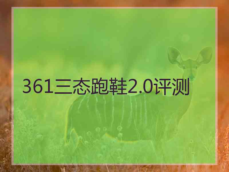 361三态跑鞋2.0评测