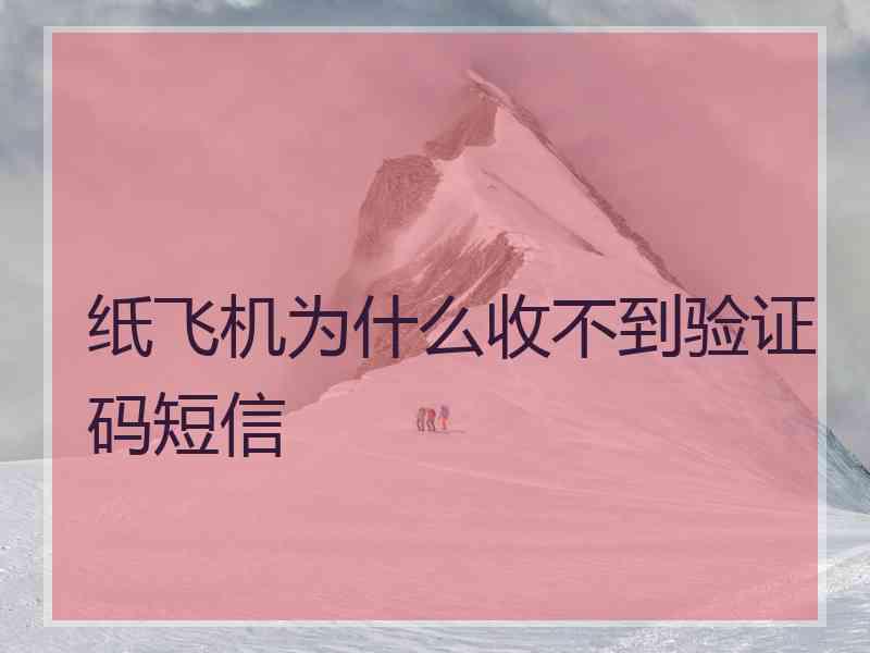 纸飞机为什么收不到验证码短信