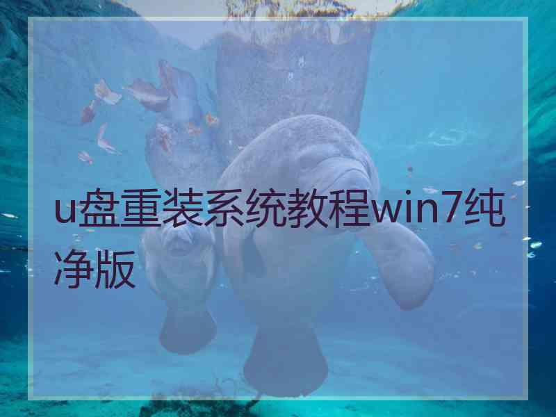 u盘重装系统教程win7纯净版