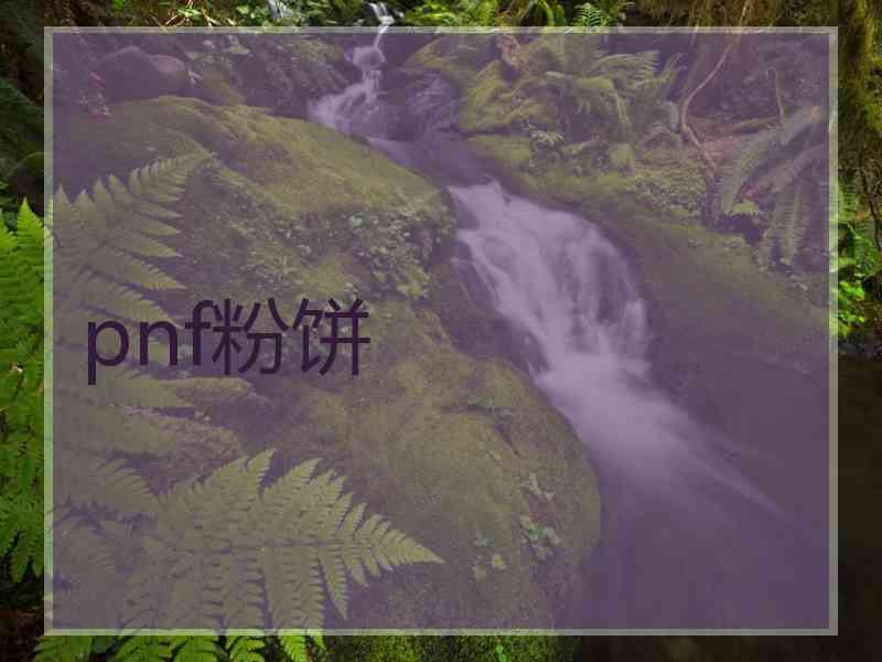 pnf粉饼