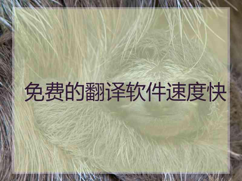 免费的翻译软件速度快