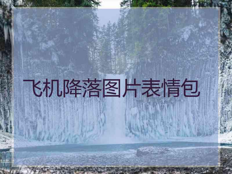 飞机降落图片表情包