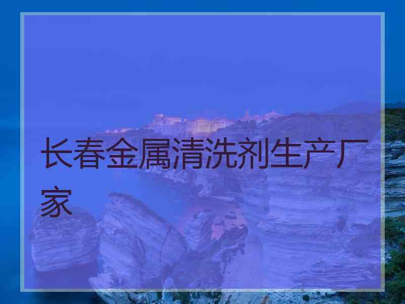 长春金属清洗剂生产厂家