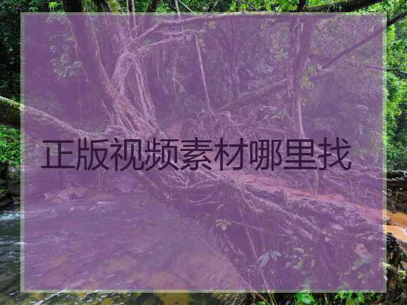 正版视频素材哪里找