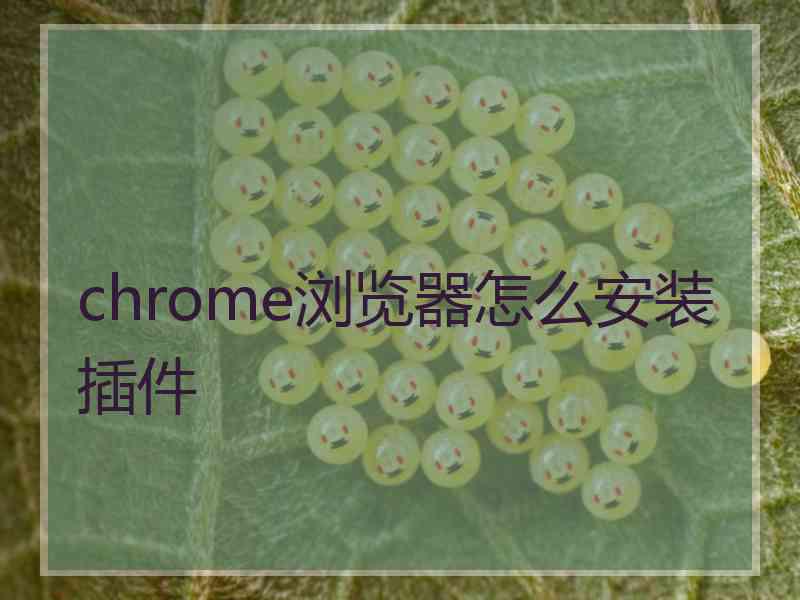 chrome浏览器怎么安装插件