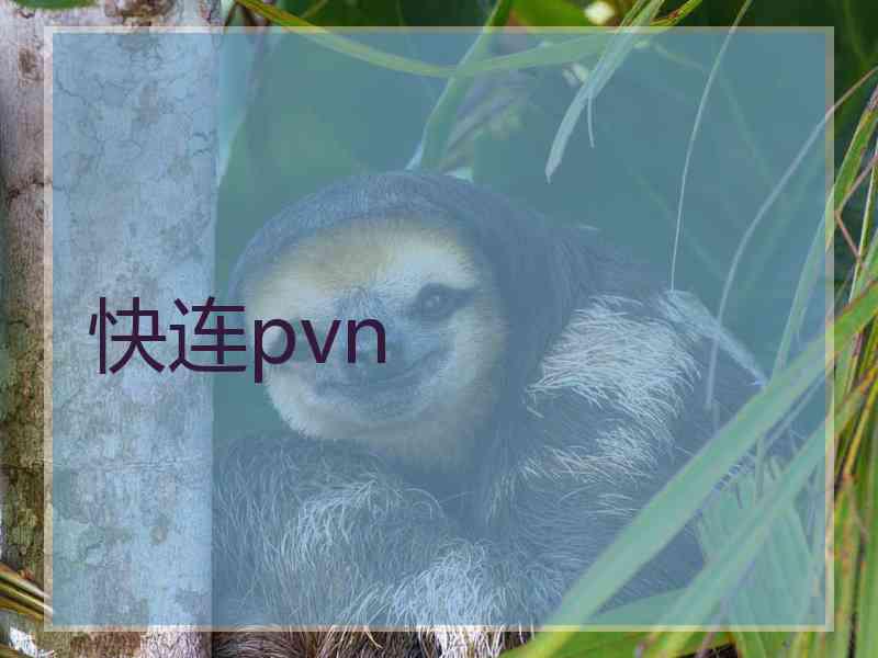 快连pvn