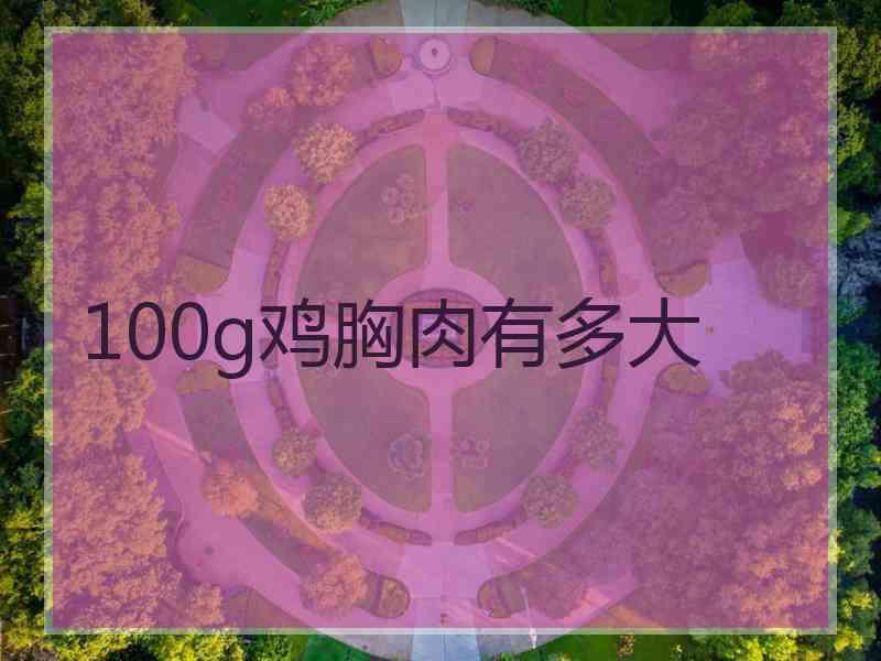 100g鸡胸肉有多大