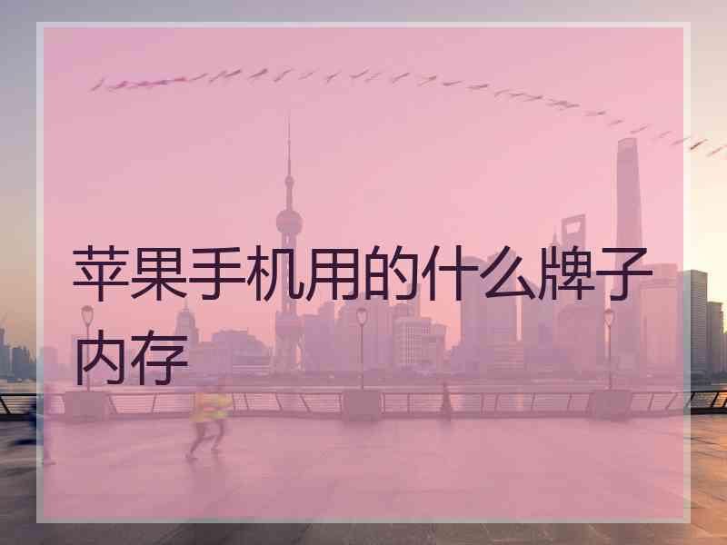 苹果手机用的什么牌子内存