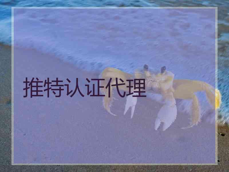 推特认证代理