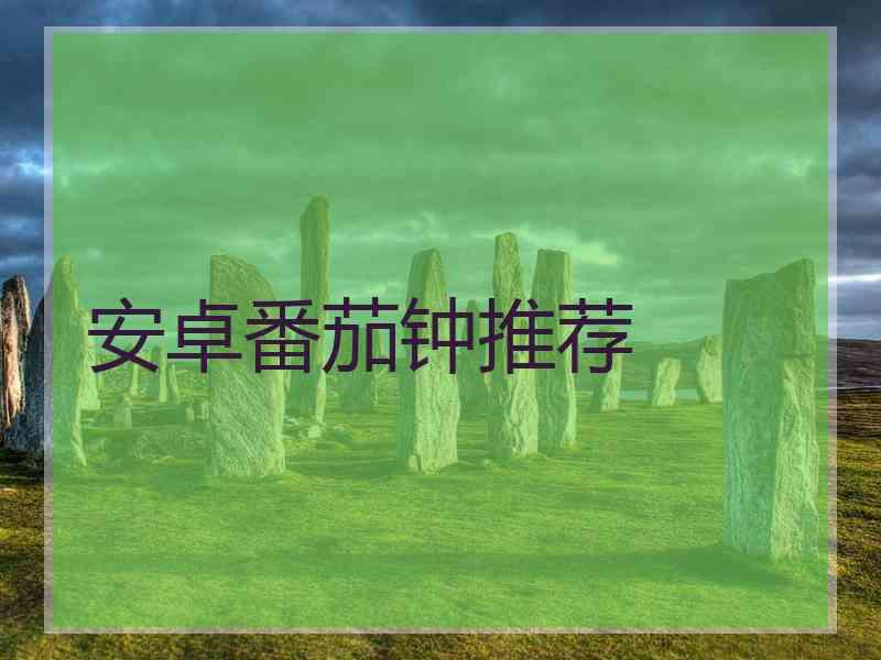 安卓番茄钟推荐