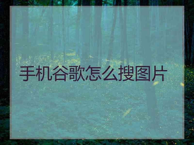 手机谷歌怎么搜图片