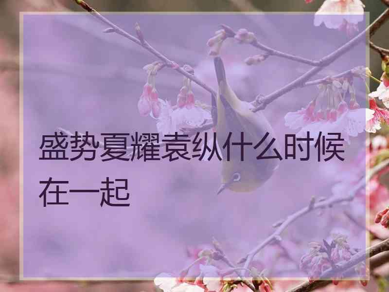 盛势夏耀袁纵什么时候在一起