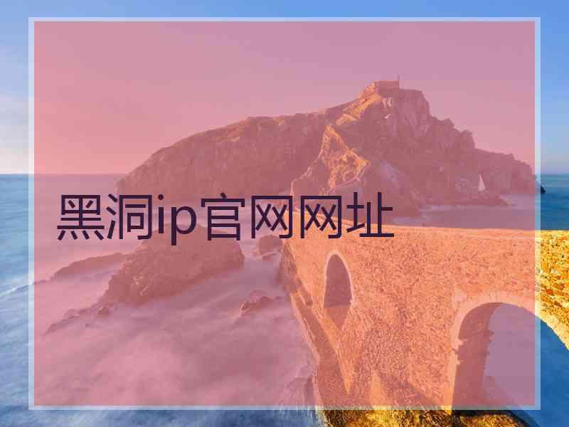 黑洞ip官网网址