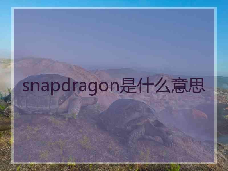 snapdragon是什么意思