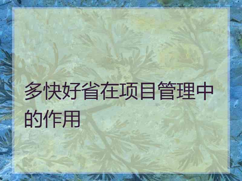 多快好省在项目管理中的作用