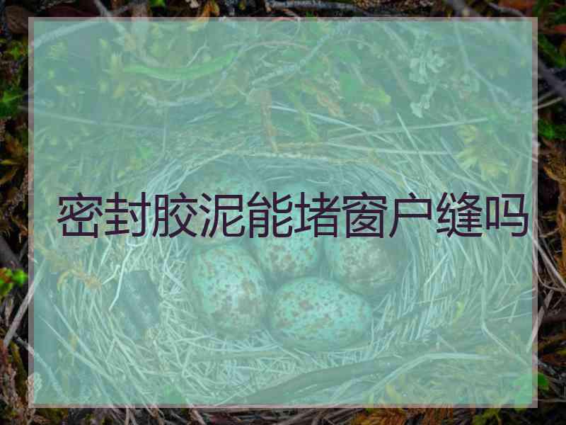密封胶泥能堵窗户缝吗