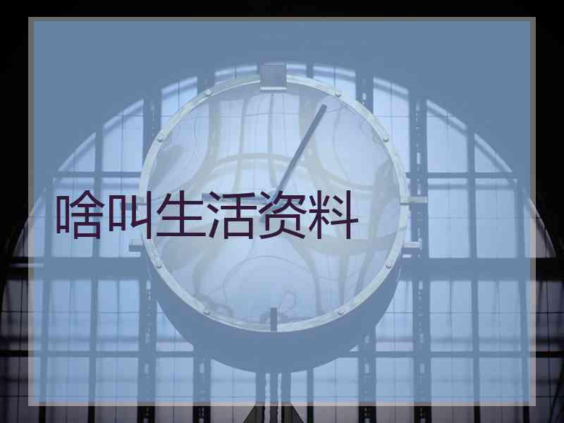 啥叫生活资料