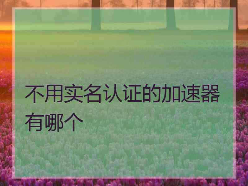 不用实名认证的加速器有哪个