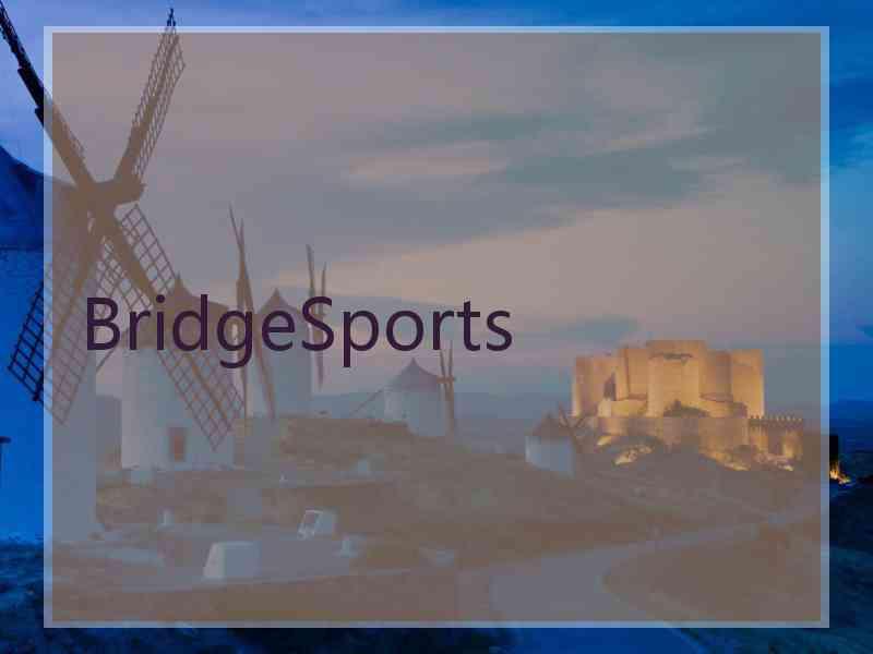 BridgeSports