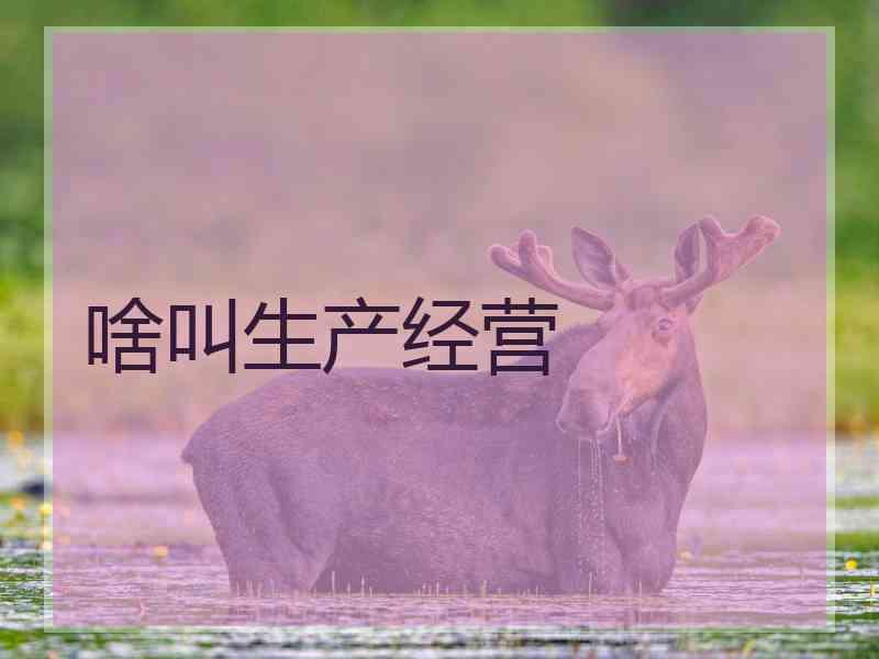 啥叫生产经营