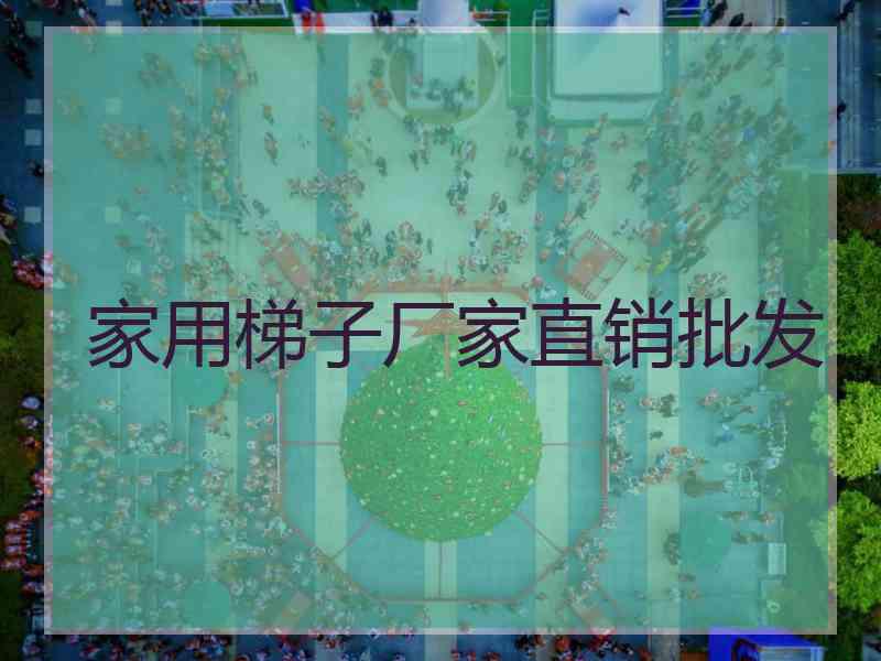 家用梯子厂家直销批发