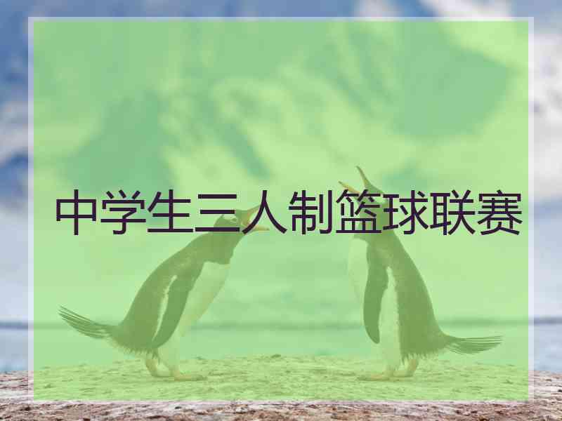 中学生三人制篮球联赛