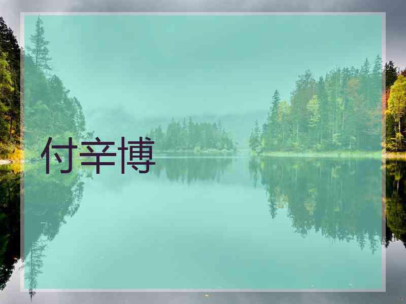 付辛博