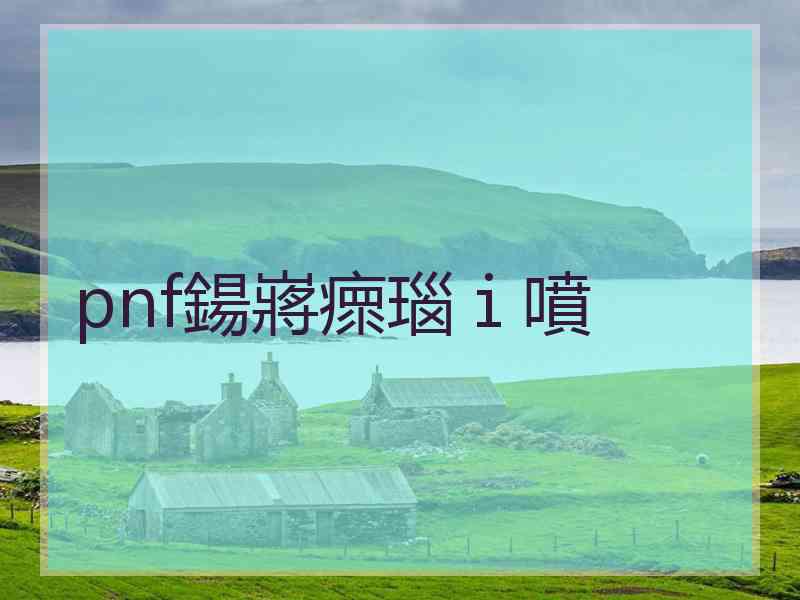 pnf鍚嶈瘝瑙ｉ噴