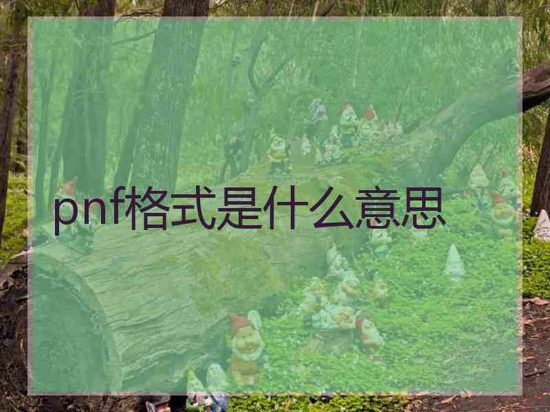 pnf格式是什么意思