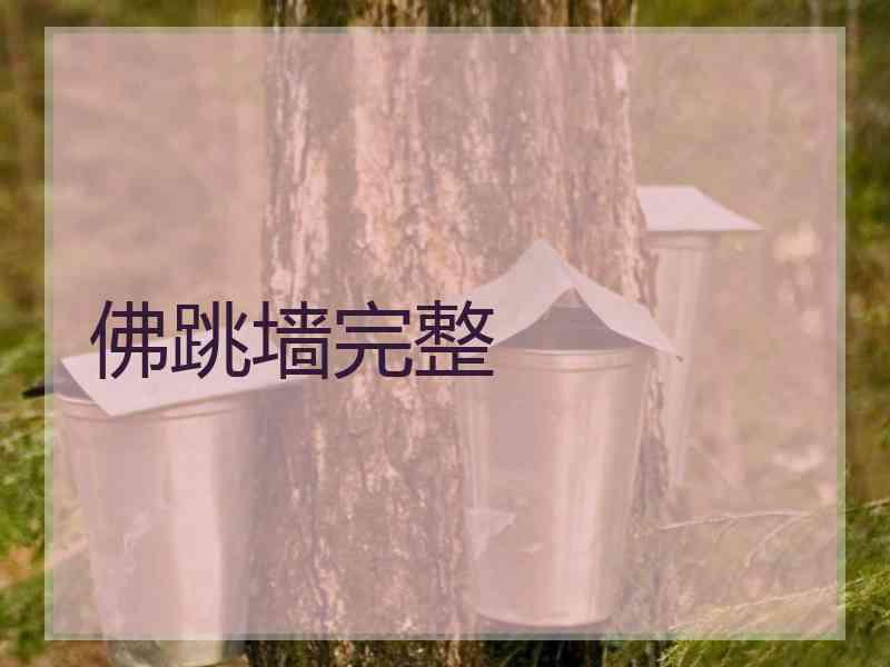 佛跳墙完整