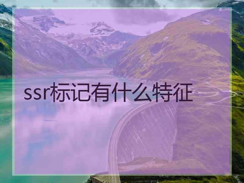 ssr标记有什么特征