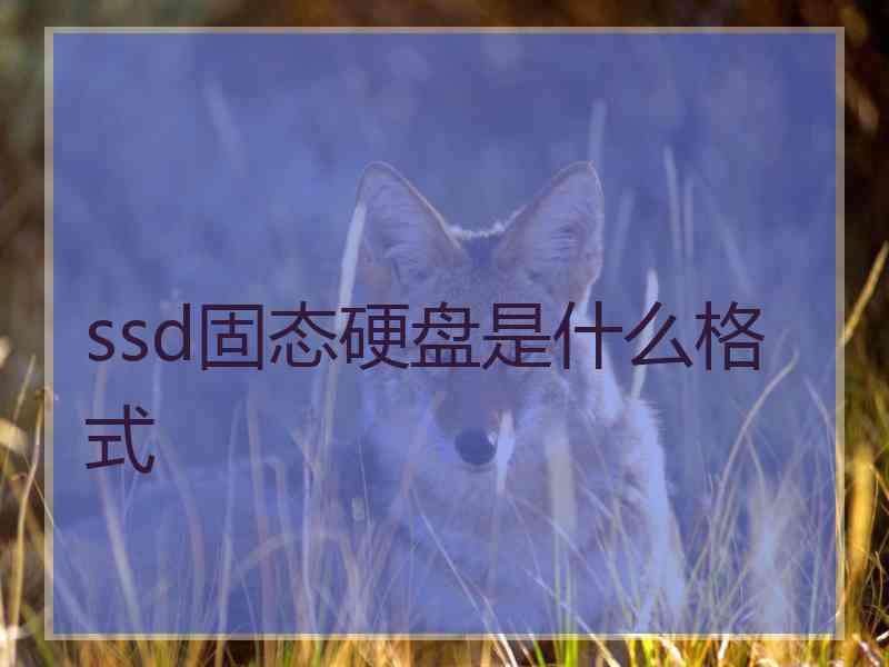 ssd固态硬盘是什么格式
