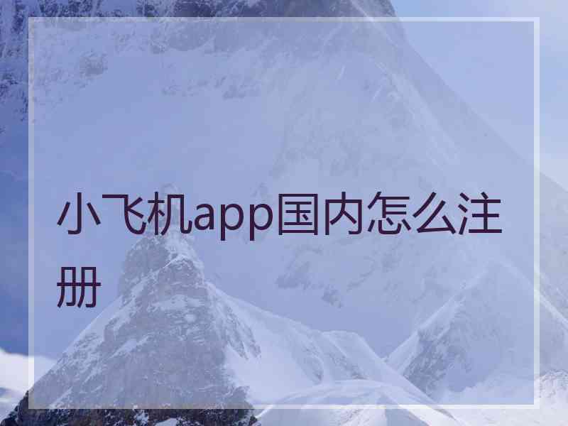 小飞机app国内怎么注册