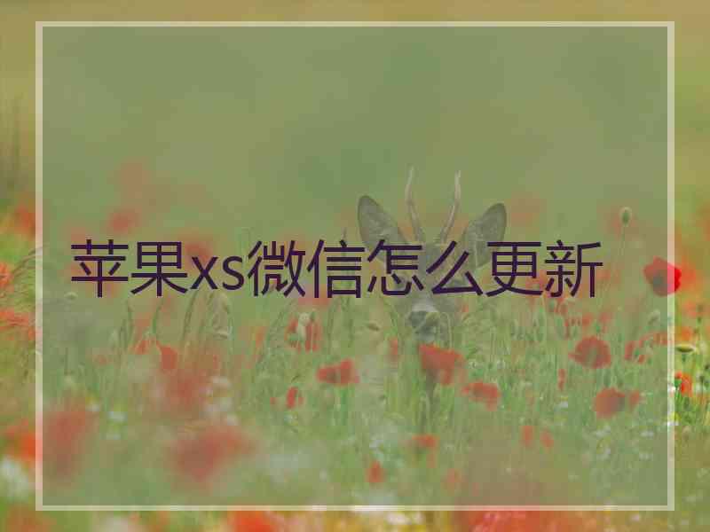 苹果xs微信怎么更新