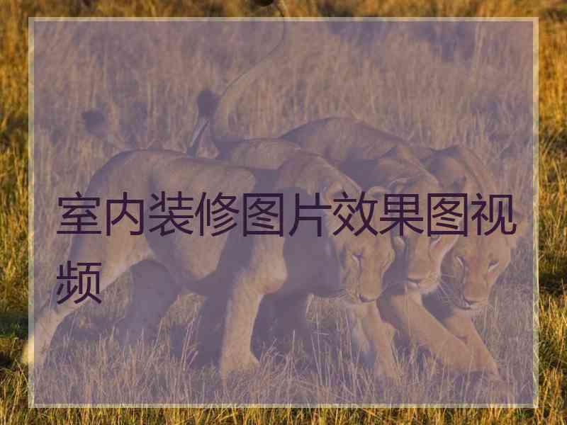 室内装修图片效果图视频