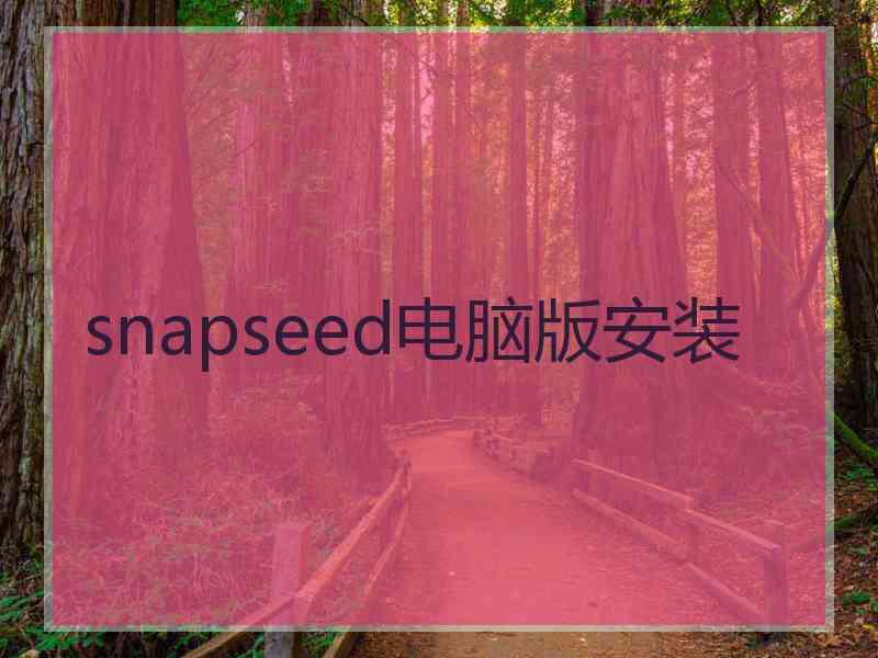 snapseed电脑版安装