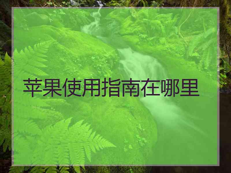 苹果使用指南在哪里