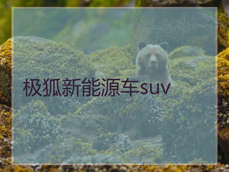 极狐新能源车suv