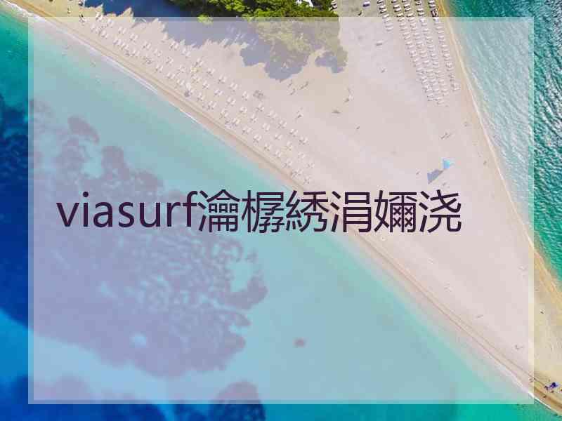 viasurf瀹樼綉涓嬭浇