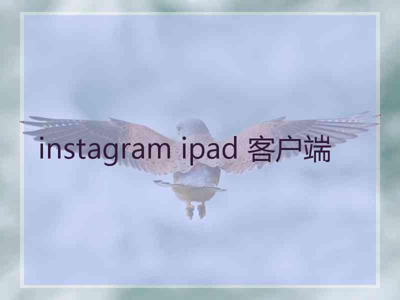 instagram ipad 客户端