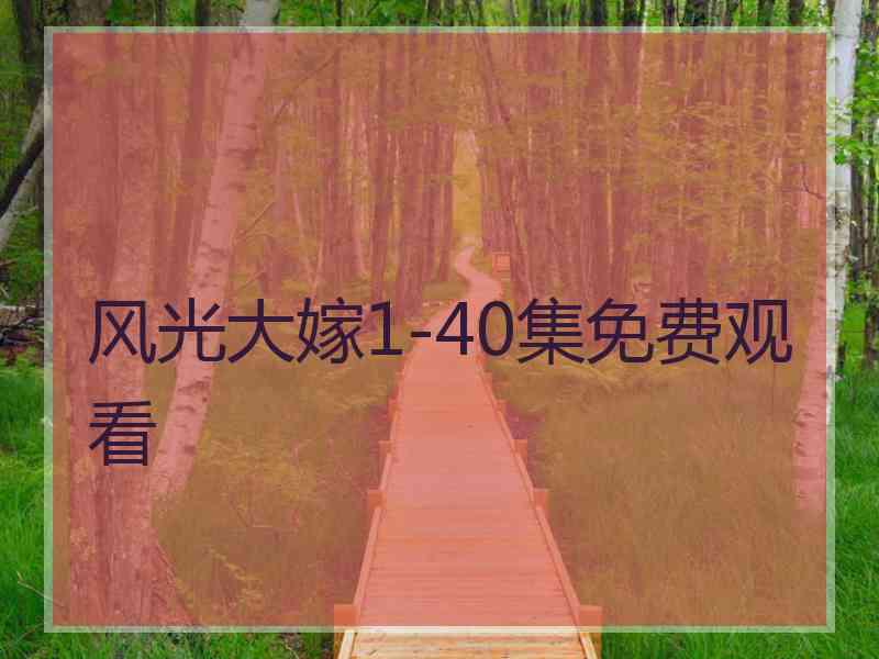 风光大嫁1-40集免费观看