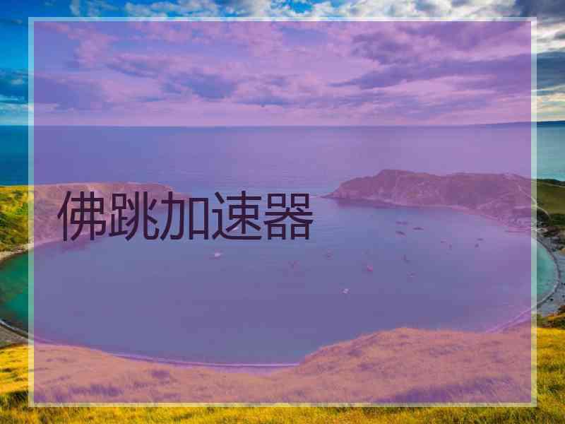 佛跳加速器