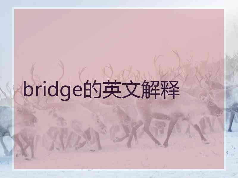 bridge的英文解释