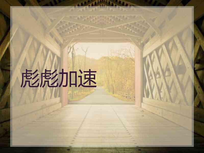 彪彪加速