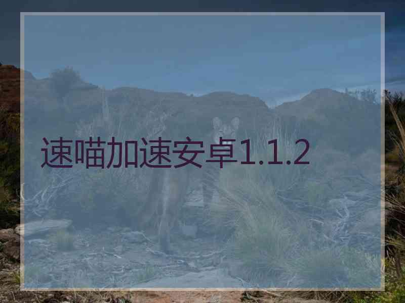 速喵加速安卓1.1.2
