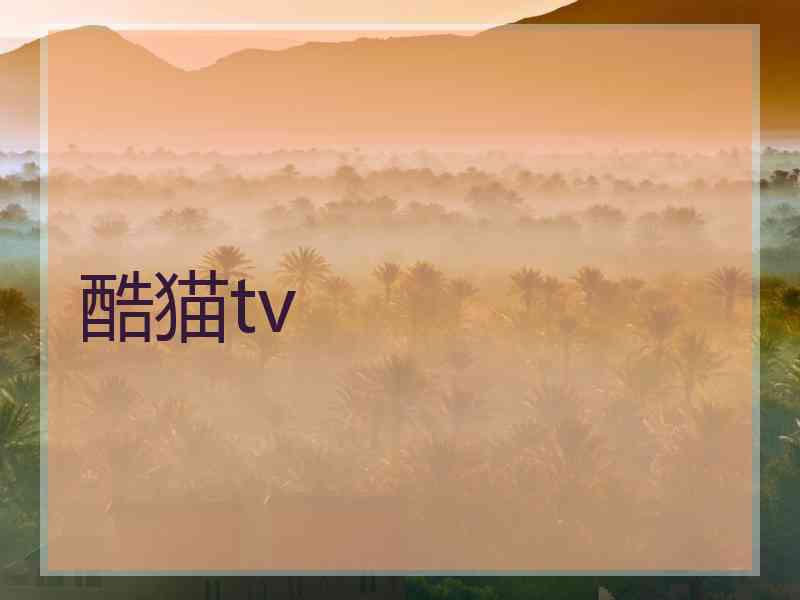酷猫tv