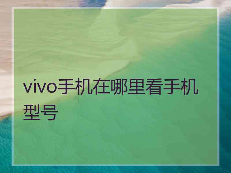 vivo手机在哪里看手机型号