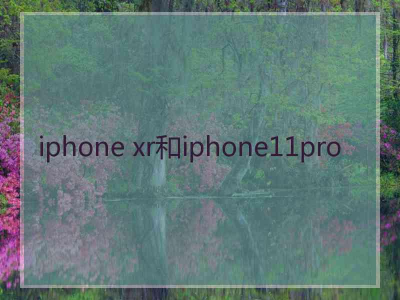 iphone xr和iphone11pro