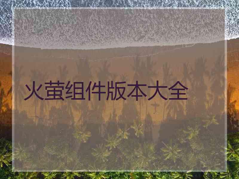 火萤组件版本大全