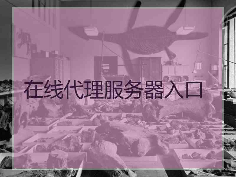 在线代理服务器入口
